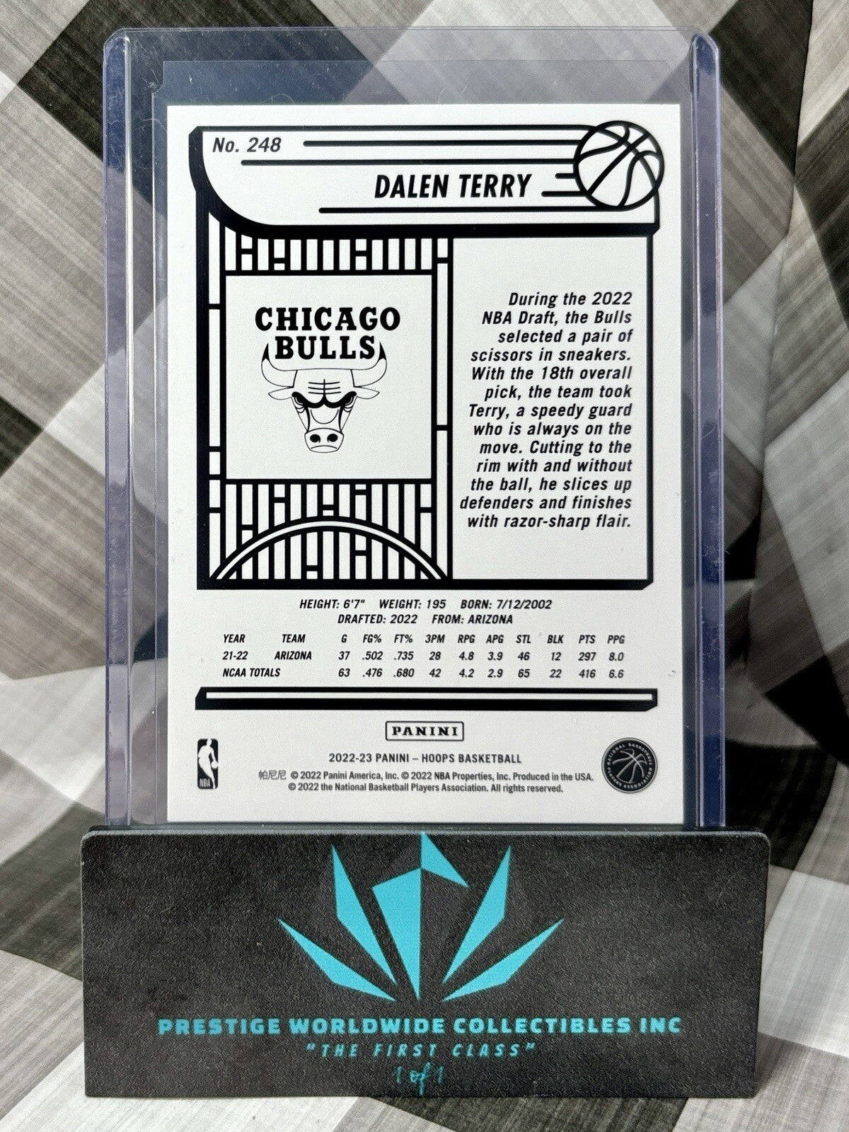 Dalen Terry 2022-23 Panini NBA Hoops Purple Rookie #248 Chicago Bulls RC